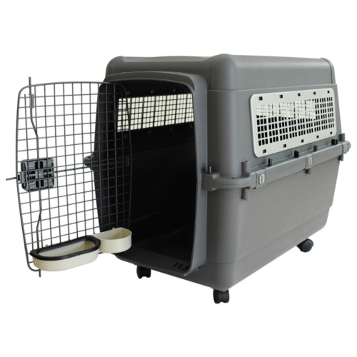 Large Size (Standard Plastic Crates)