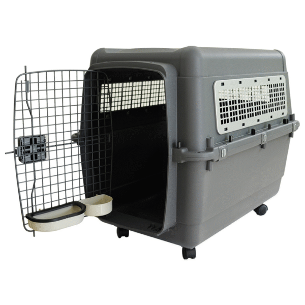 Large Size (Standard Plastic Crates)